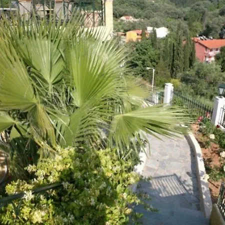 Alonakia 2*